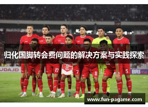 归化国脚转会费问题的解决方案与实践探索