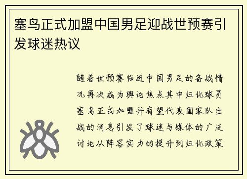 塞鸟正式加盟中国男足迎战世预赛引发球迷热议