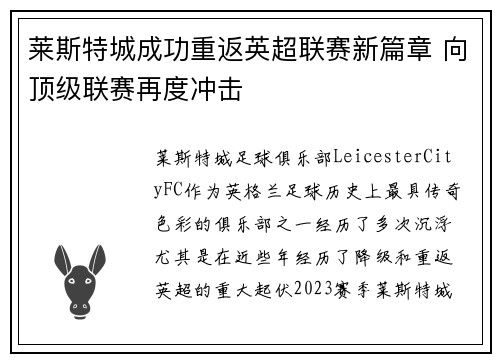 莱斯特城成功重返英超联赛新篇章 向顶级联赛再度冲击